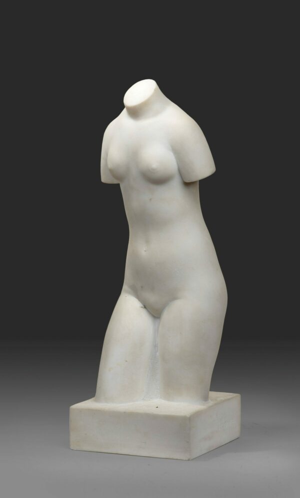 FEMALE TORSO
