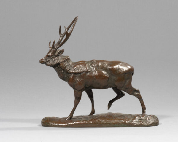 CERF DU GANGE