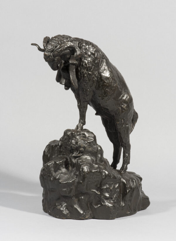 RAM TO THE ROCK (1908)