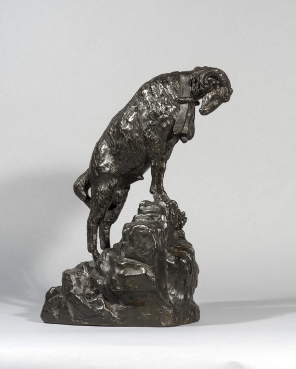 RAM TO THE ROCK (1908) - Image 8