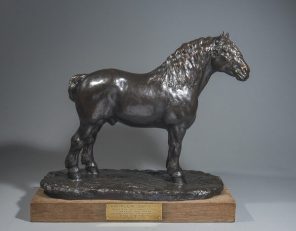 CHEVAL DE TRAIT DE L'AUXOIS