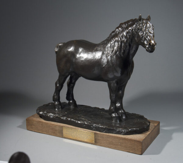 CHEVAL DE TRAIT DE L'AUXOIS – Image 9