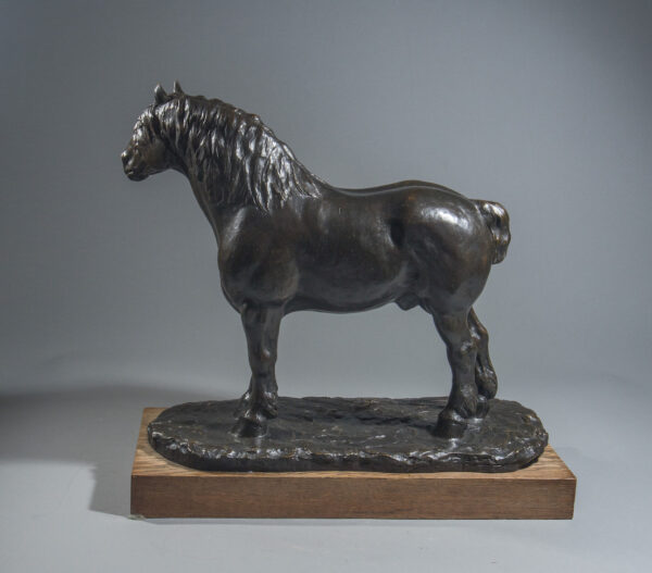 CHEVAL DE TRAIT DE L'AUXOIS – Image 7