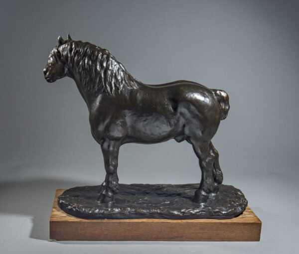 CHEVAL DE TRAIT DE L'AUXOIS – Image 8