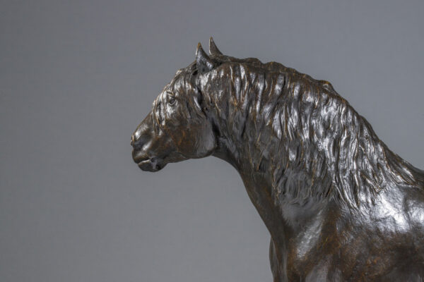 CHEVAL DE TRAIT DE L'AUXOIS – Image 6