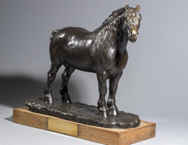 CHEVAL DE TRAIT DE L'AUXOIS – Image 5