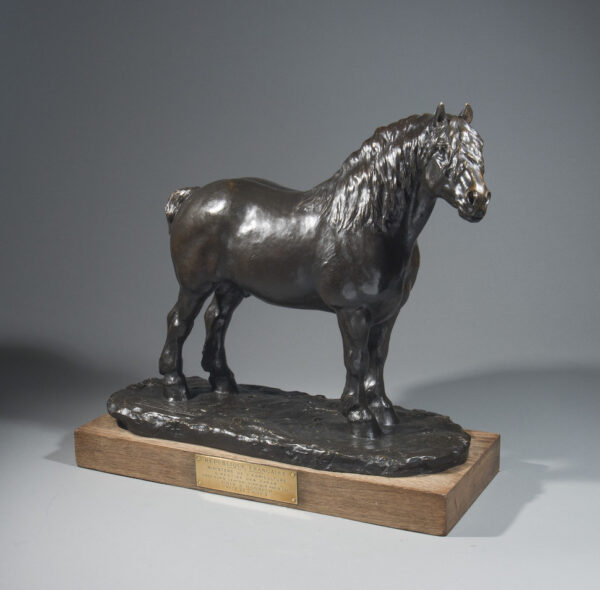 CHEVAL DE TRAIT DE L'AUXOIS – Image 2