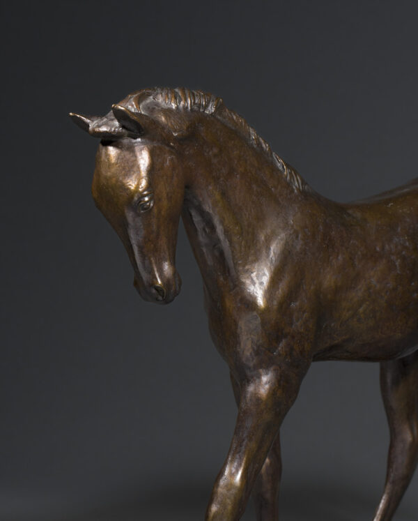 TROTTING FOAL (1945) - Image 6