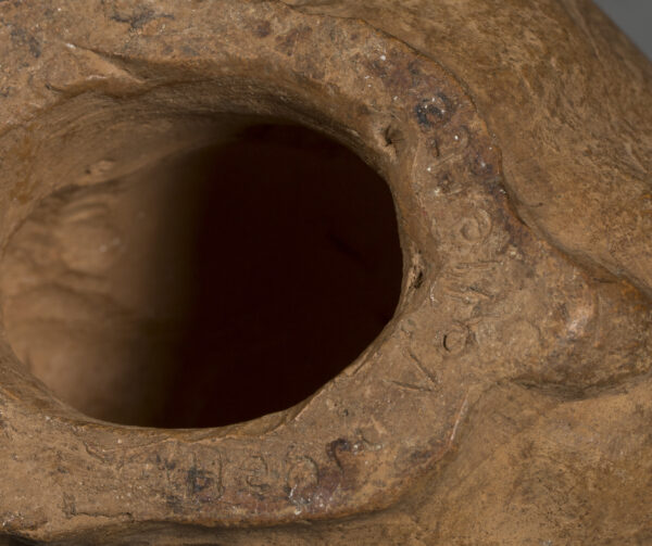 RABBIT - Image 5
