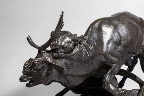 PANTHÈRE SAISISSANT UN CERF – Image 11