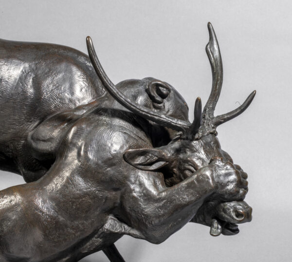 PANTHÈRE SAISISSANT UN CERF – Image 8