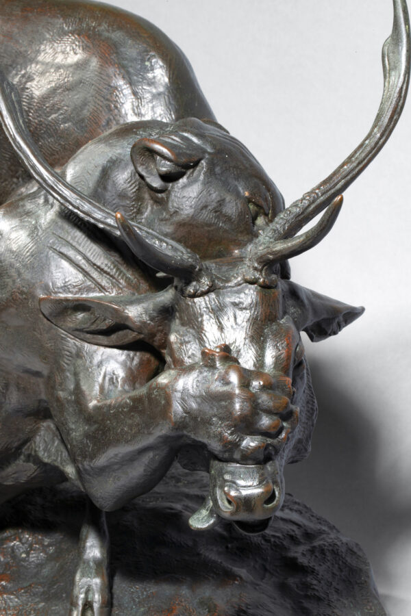 PANTHÈRE SAISISSANT UN CERF – Image 9