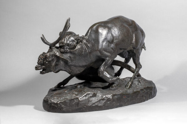 PANTHÈRE SAISISSANT UN CERF – Image 4