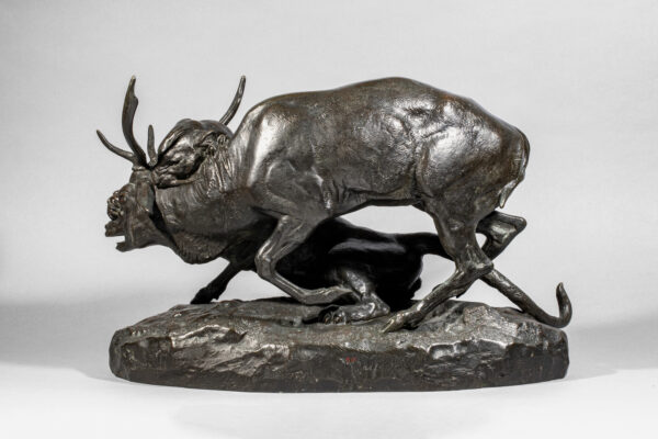 PANTHÈRE SAISISSANT UN CERF – Image 3