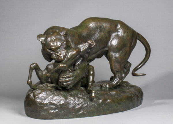 TIGER SURPRISING AN ANTELOPE (TERRACE WITHOUT PROFILE) - Image 12