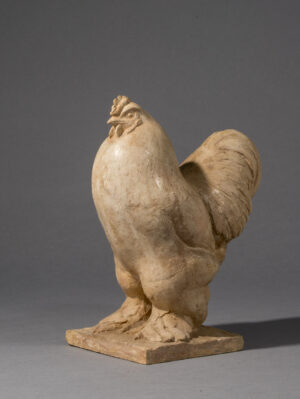 COQ BRAHMA