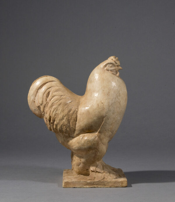 COQ BRAHMA – Image 2