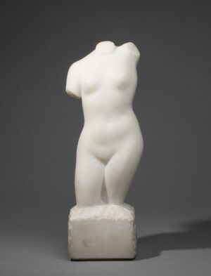 WOMAN TORSO