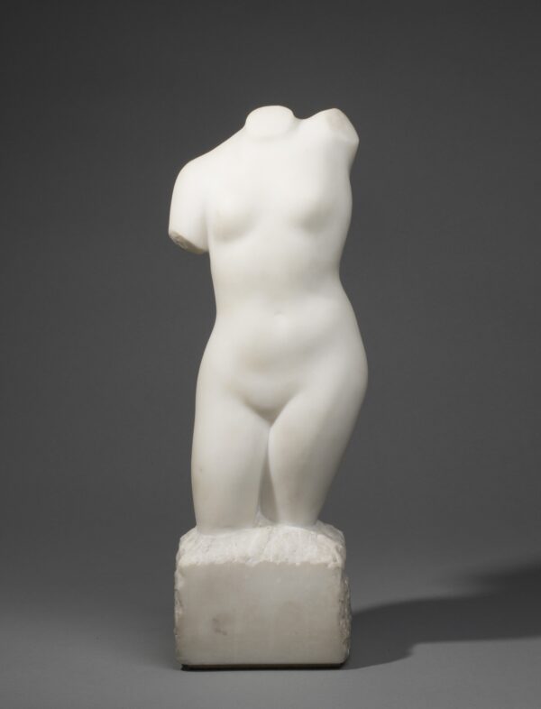 WOMAN TORSO