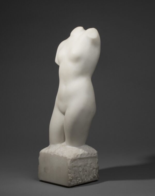 WOMAN TORSO - Image 5