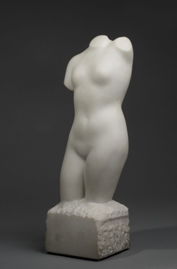 WOMAN TORSO - Image 4