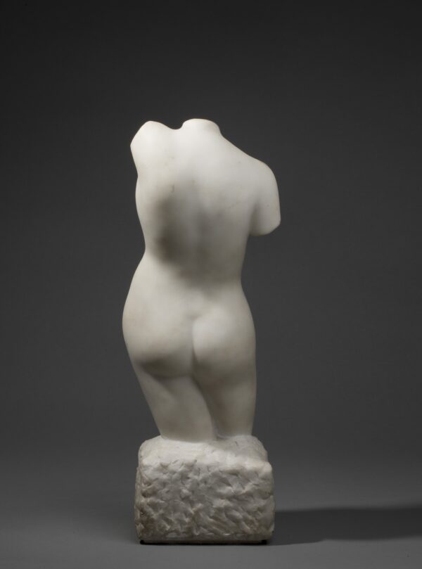 WOMAN TORSO - Image 3