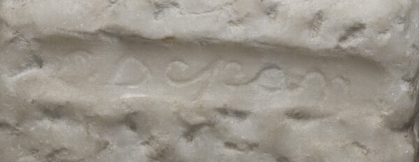 WOMAN TORSO - Image 7