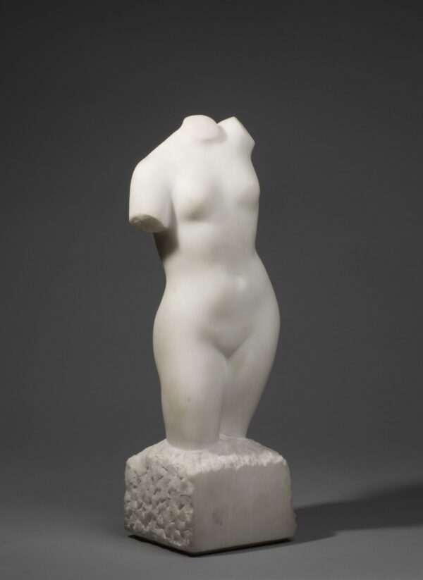 WOMAN TORSO - Image 2