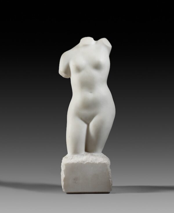 WOMAN TORSO - Image 6