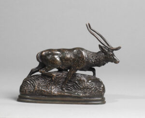 CERF DE JAVA (SECONDE VERSION) (1838)