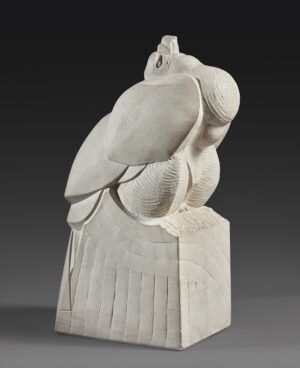 VAUTOUR À TÊTE BLANCHE