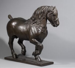 BELGIAN DRAFT HORSE CHAMPION