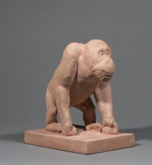 ORANGUTAN